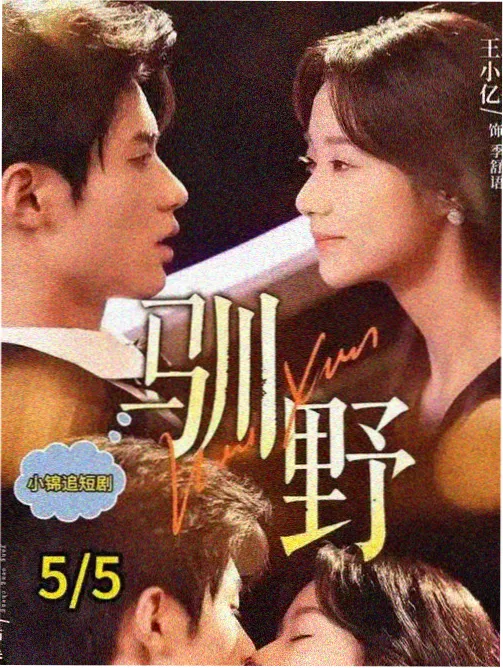 心理罪 第五季